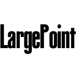 LargePoint