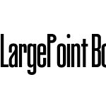 LargePoint