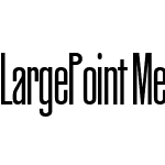 LargePoint