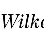 Wilke LT Std