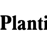 Plantin Head MT Pro