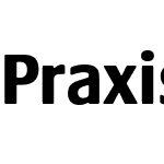 Praxis Next
