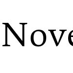 Novel Pro