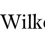 Wilke LT Std