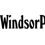 Windsor Pro