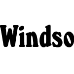 Windsor Pro