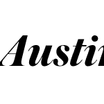 Austin Cy Web Bold