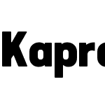 Kapra Neue Pro