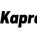 Kapra Neue Pro