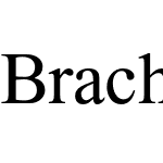 BrachaMF