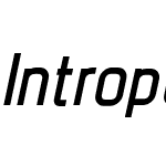 Intropol