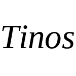 Tinos Nerd Font