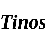 Tinos Nerd Font