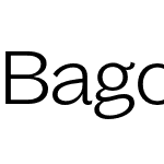 Bagoss Extended