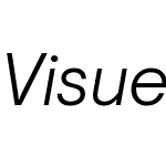 Visuelt Pro