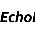 Echo Pro