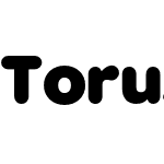 Torus Pro