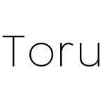 Torus Pro VF