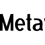 Metaverse