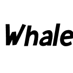 Whale Song