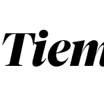 Tiempos Fine