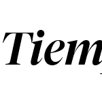 Tiempos Fine