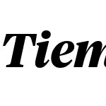 Tiempos Headline