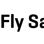 Fly Sans