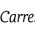 CarrefourSerif