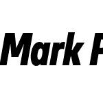 Mark Pro