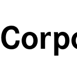 Corporate S Pro