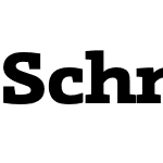Schnebel Slab Pro Expand