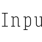 Input Serif Compressed