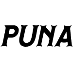 PUNA