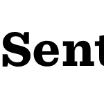 Sentinel SSm Pro