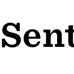 Sentinel SSm Pro
