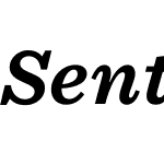 Sentinel SSm Pro