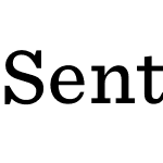 Sentinel SSm Pro