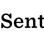 Sentinel SSm Pro