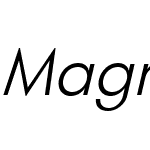 Magnify