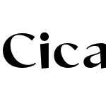 Cicada