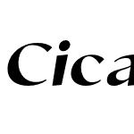 Cicada