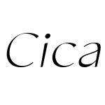 Cicada