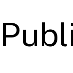 Public Sans