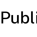 Public Sans