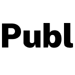 Public Sans