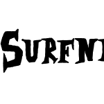 Surfnik