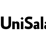 UniSalar_F_033