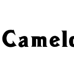 Camelot