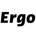 Ergo LT Pro